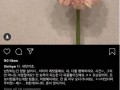 天涯韩国娱乐圈八卦爆料,天涯八卦爆料，娱乐圈幕后真相大曝光