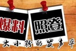 民间最新爆料新闻,民间最新爆料揭示惊人真相