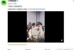 秃崽被爆料视频全集下载,揭秘事件真相与幕后黑幕