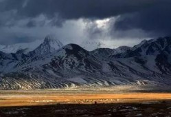 晚秋爆料雪山围子视频,晚秋揭秘神秘秋日奇观