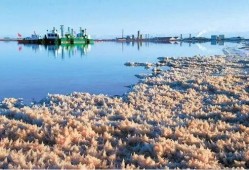 青海盐湖爆料案件最新,揭开神秘盐湖背后的惊人真相
