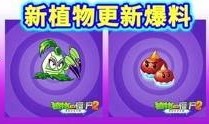 最新 植物爆料视频,神秘植物视频曝光，带你探索未知生命奥秘