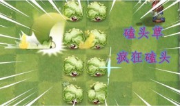 最新 植物爆料视频,神秘植物视频曝光，带你探索未知生命奥秘