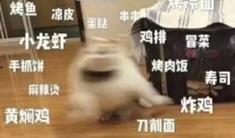 食品小哥爆料事件视频大全,揭秘事件视频大全背后的真相与内幕