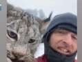 山猫爆料视频完整版,完整版内容深度解析