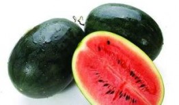 麦地网红吃瓜,揭秘网络红人的幕后故事