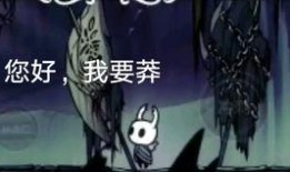 沙雕细胞爆料视频在线观看,揭秘网络视频背后的趣味真相