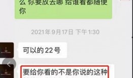 网红前任爆料视频大全最新,情感纠葛背后的真相大起底