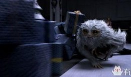 神奇动物在哪里在线观看,跟随神奇动物在哪里踏上奇幻之旅