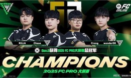 在线观看战队,揭秘虚拟竞技的魅力与未来