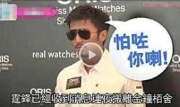 谢霆锋香港爆料视频播放,揭秘娱乐圈不为人知的真相