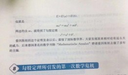 人教版最新爆料,揭秘教育改革新动向