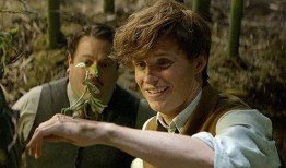 神奇动物在哪里在线观看,跟随神奇动物在哪里踏上奇幻之旅