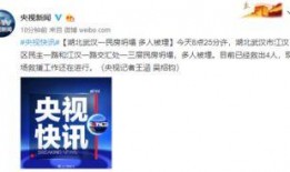 武汉渣男爆料新闻报道,揭秘渣男真实面目，引发社会关注