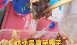 最新爆料老鼠事件视频,惊曝老鼠横行！最新视频揭露惊人真相