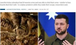 拜登新冠最新爆料新闻,揭秘总统感染细节与防疫措施争议”