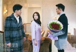 放弃我抓紧我电视剧全集在线观看,浪漫爱情与职场挑战交织的精彩剧情