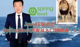 sp实践在线观看,深度解析与精彩回顾