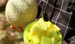 娱乐瓜吃瓜,揭秘明星幕后故事