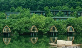 汝南新闻爆料电话查询是多少,一键获取最新资讯