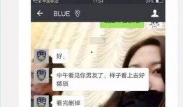 三宝爸爆料聊天截图视频,揭秘幕后故事与精彩瞬间