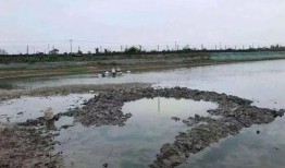 汝南新闻爆料电话查询是多少,一键获取最新资讯