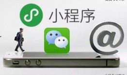 小程序逗哥爆料视频下载