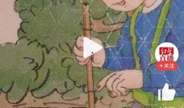 人教版最新爆料,揭秘教育改革新动向