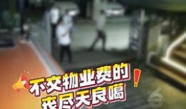 巴中热点爆料新闻视频,视频揭露惊人真相，引发社会热议！